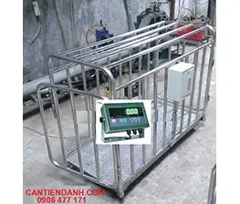 CÂN ĐỘNG VẬT INOX 304