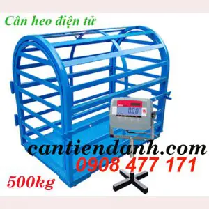 CÂN HEO ĐIỆN TỬOHAUS T31